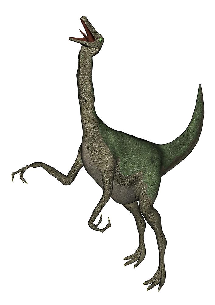 Gallimimus dinosaur roaring. Poster