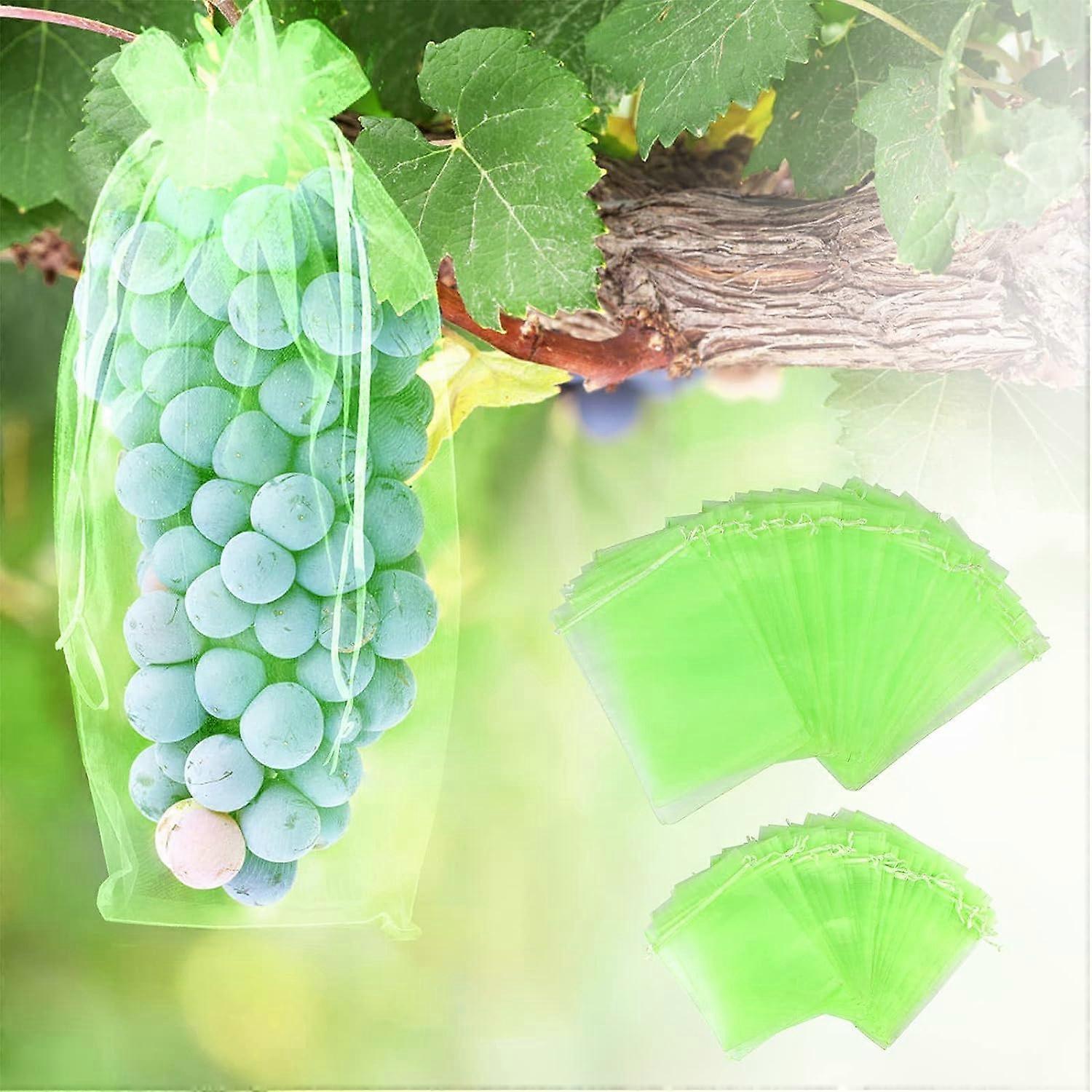 60-Pack Fruit Protector Bags, Reusable Garden Fruit Mesh Bags Insect Bird Barrier Mesh Bags Clear Fruit Protector (2 Sizes)