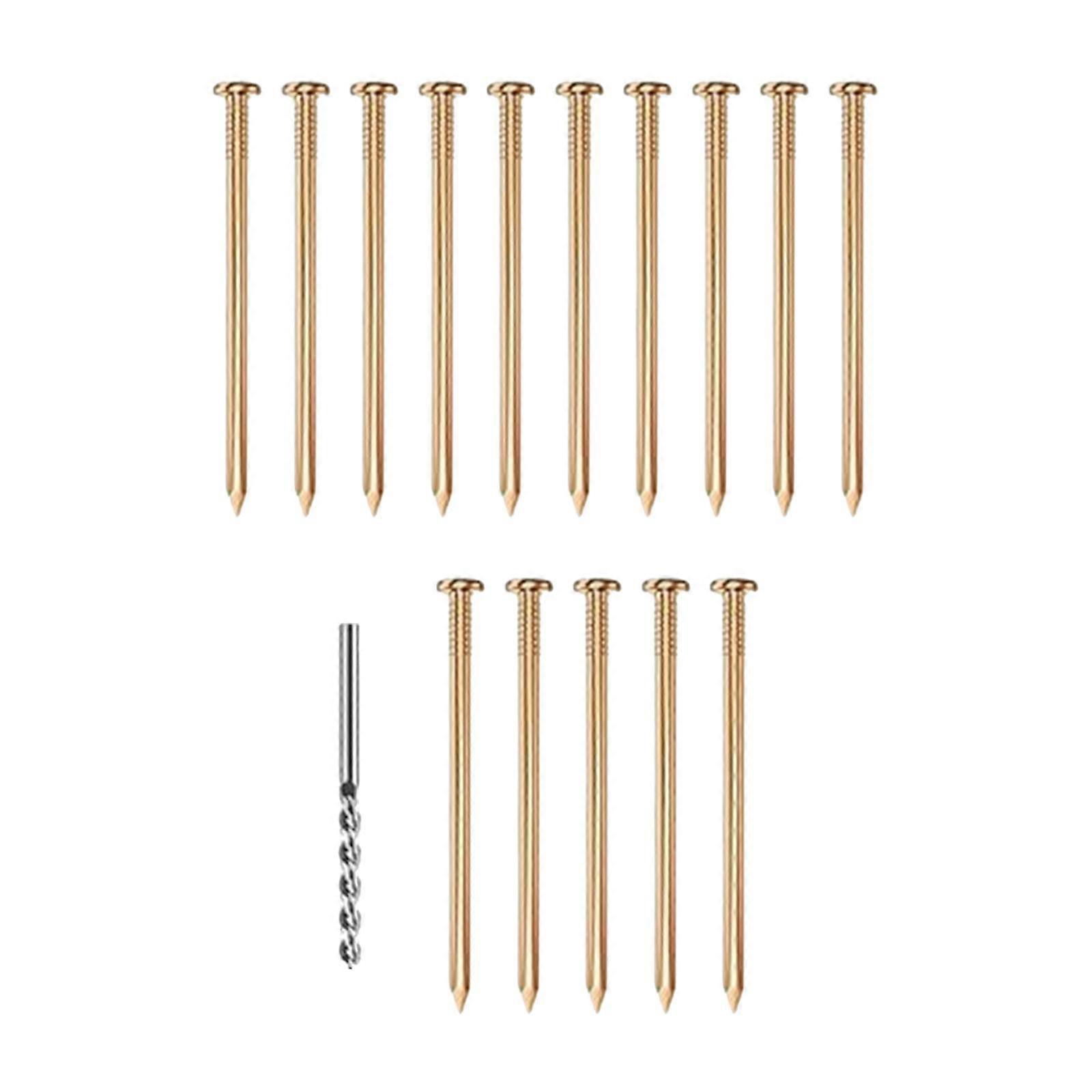 Solid Copper Nails Slating Spikes Easy Use Accessories Copper Tree Stump Killer