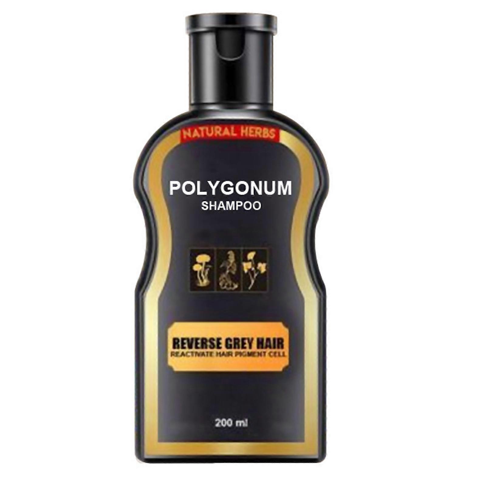 Polygonum Essence Shampooing Assombrissant Cheveux Savon Formule Douce Naturelle Shampooing Cheveux Gris Reverse Anti Perte Soins Capillaires