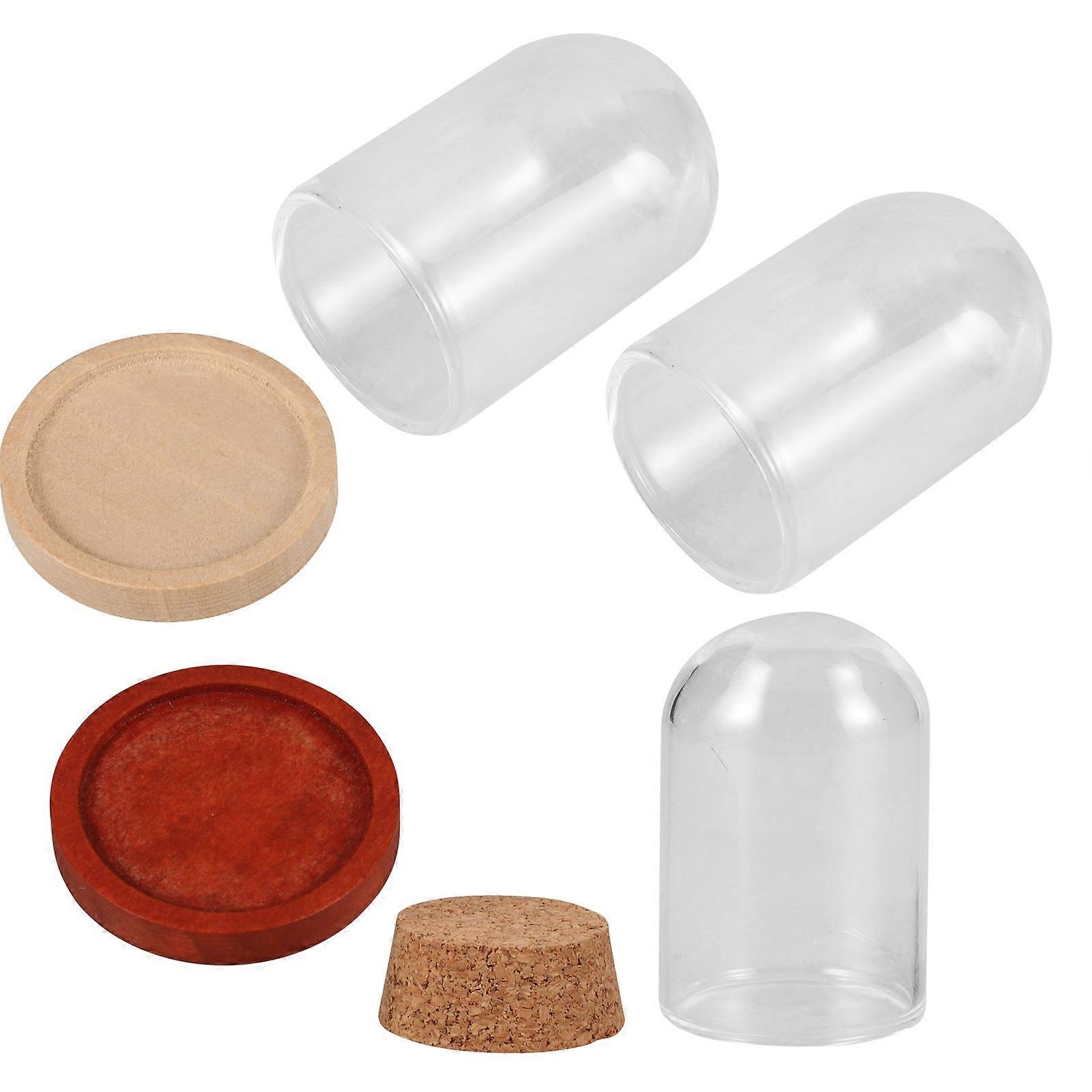 3 Sets Clear Glass Display Domes with Natural Wood Bases – Mini Bell Jar Cloche for DIY Micro Landscape Plants, Decorative Transparent Showcase for