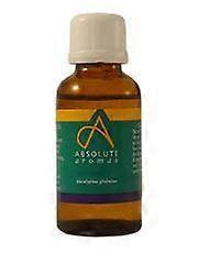 Absolute Aromas Eucalyptus Globulus Oil 30ml - 3 Pack