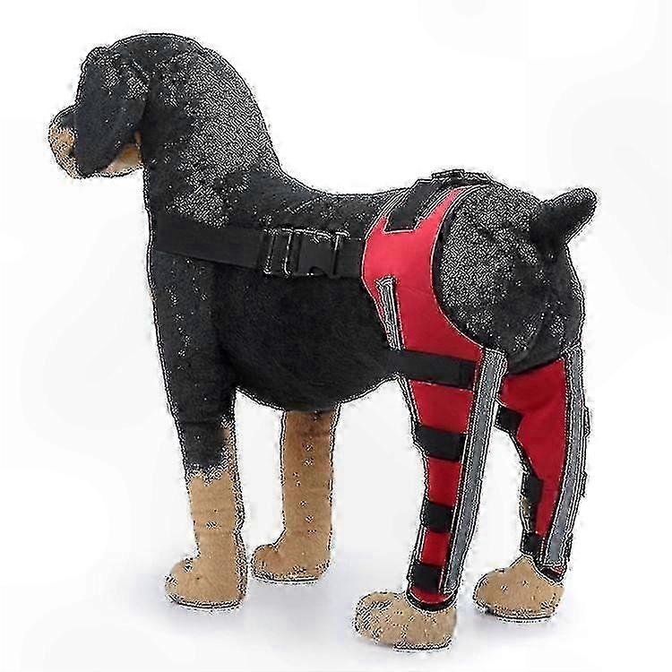 Tutore a doppio supporto per le gambe per cani anziani con caratteristiche di comfort regolabili