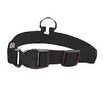 Collier LED pour chien, collier de sécurité lumineux rechargeable par USB pour animaux de compagnie, réglable L