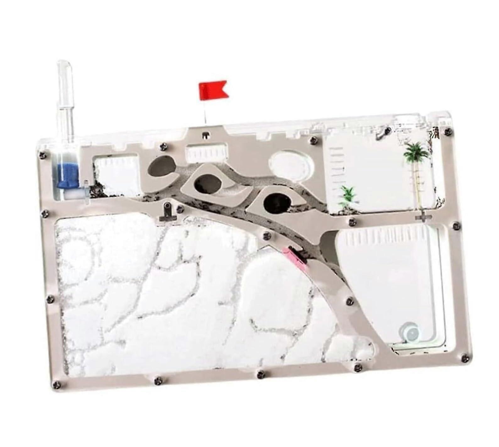 A Clear Acrylic Ant Farm Observation Habitat with a Feeding Box and Tool Tray, a Home Office Desk Display