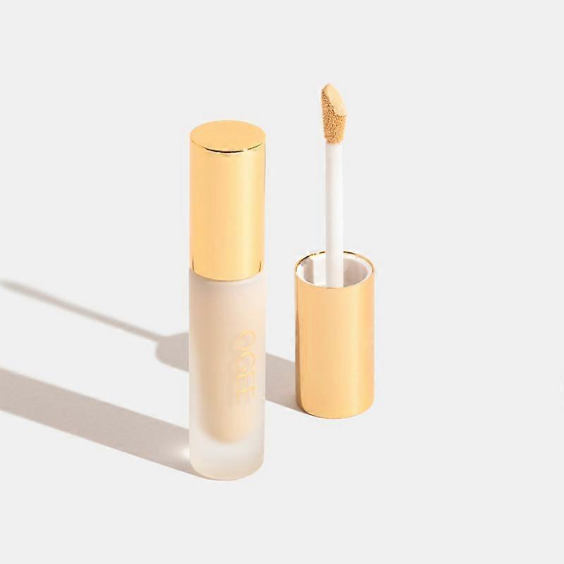 Complexion Perfecting Concealer