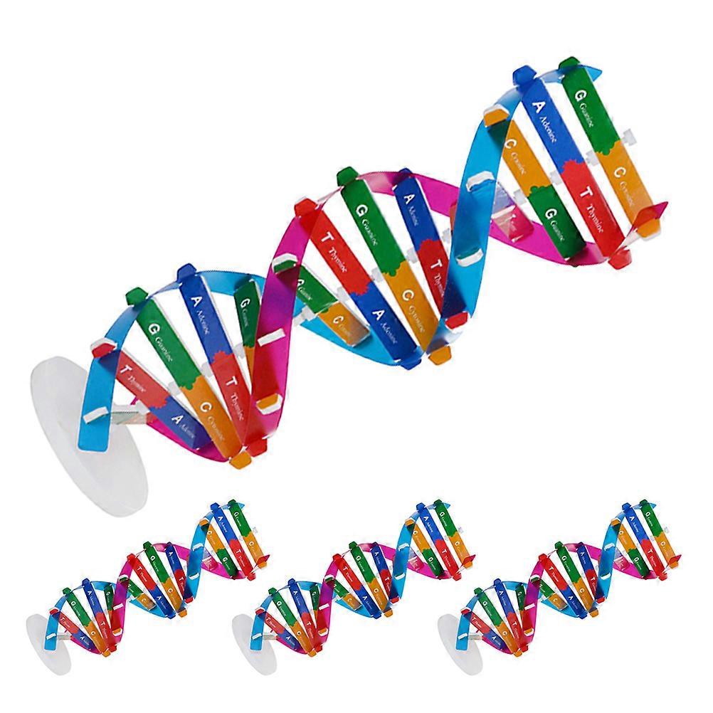 Educational Human Genes Model Dna Structure for Teaching Use 4Pcs Kit
