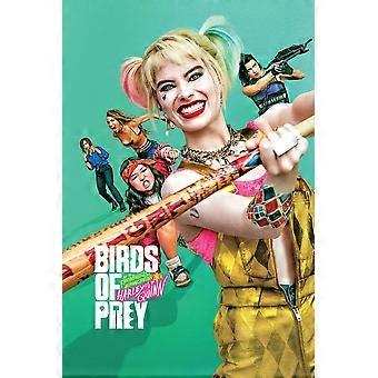 Birds of Prey (2020) Movie  Harley Quinnjigsaw puzzle game for adults and kids UE 3028