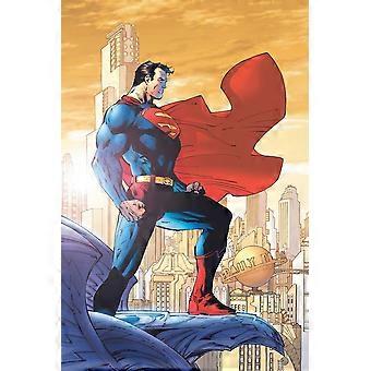 Jim Lee For Tomorrow Superman Stress Reliever Jigsaw Puzzle V2586