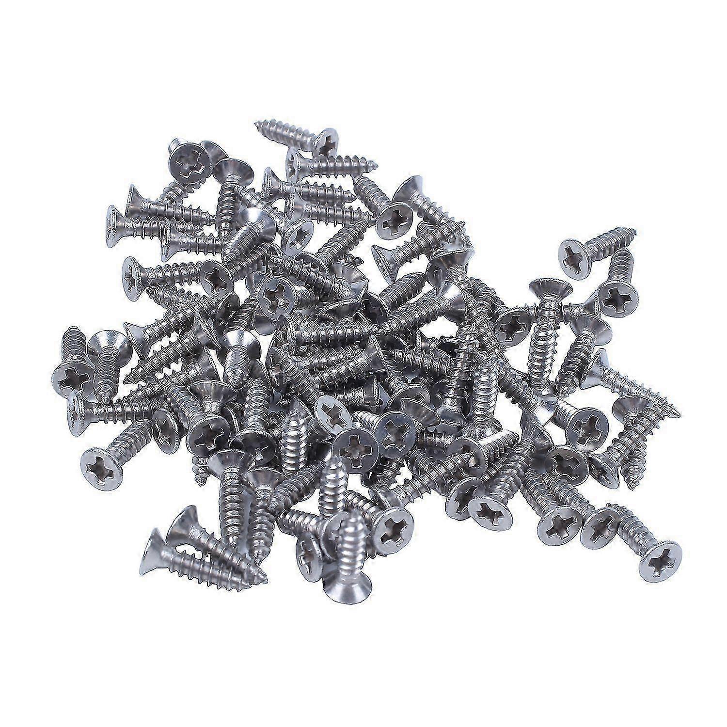 100x RVS Phillips zelftappende schroef 12x3mm