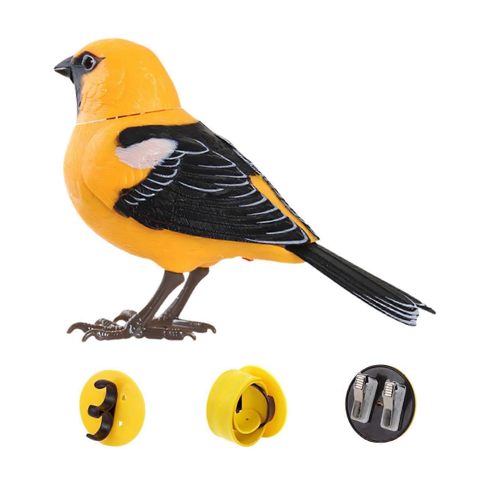 ABS Plastic Singing Birds Set Interactive Noisemaker And Motion Sensor Plaything For All Ages Multicolor