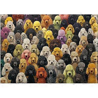 Poodles Jigsaw Puzzle SQZ531