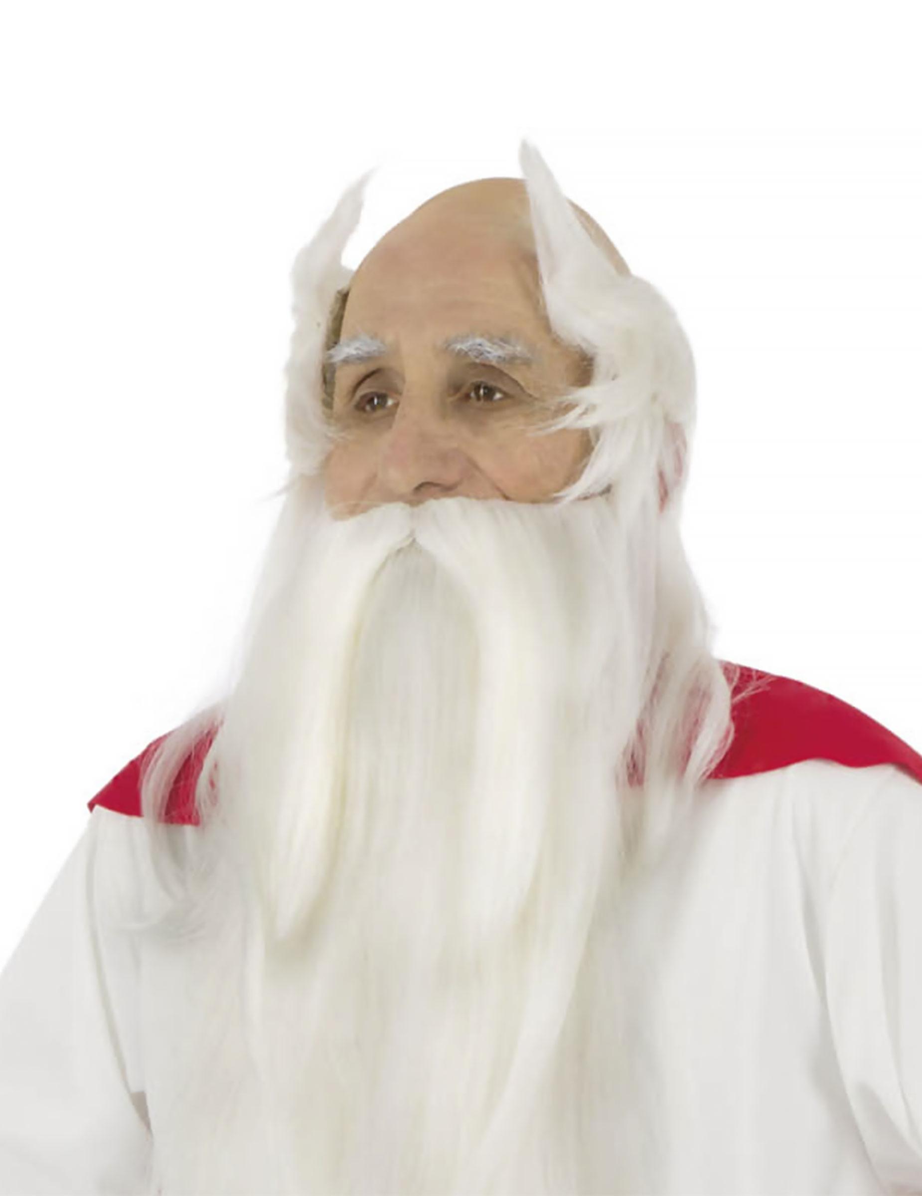 Panoramix Druid Wig and Beard - Asterix and Obelix