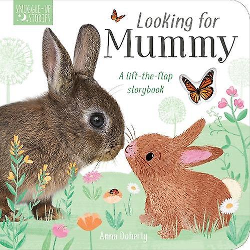 Looking For Mummy by Becky Davies Board book Book