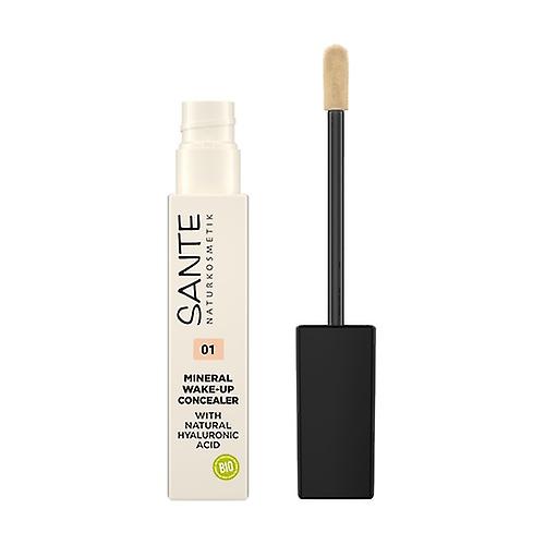 Mineral concealer 01 Neutral Ivory 1,14 g