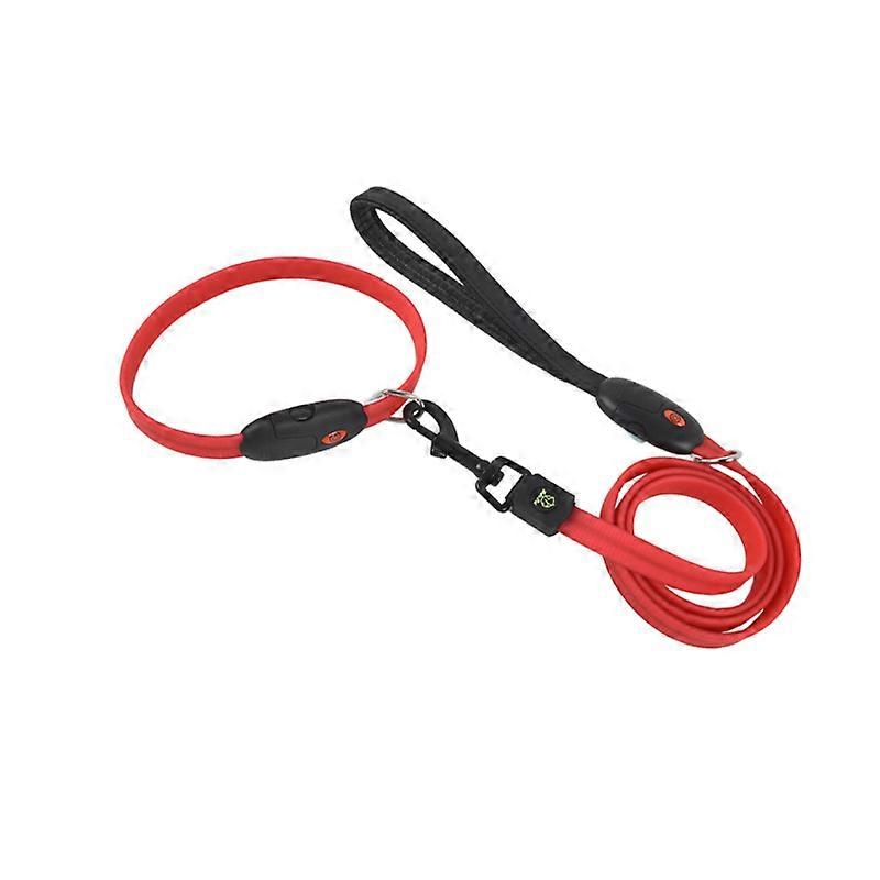 Pet LED leash collar USB charging LED dog walking collar leash lighted leash
