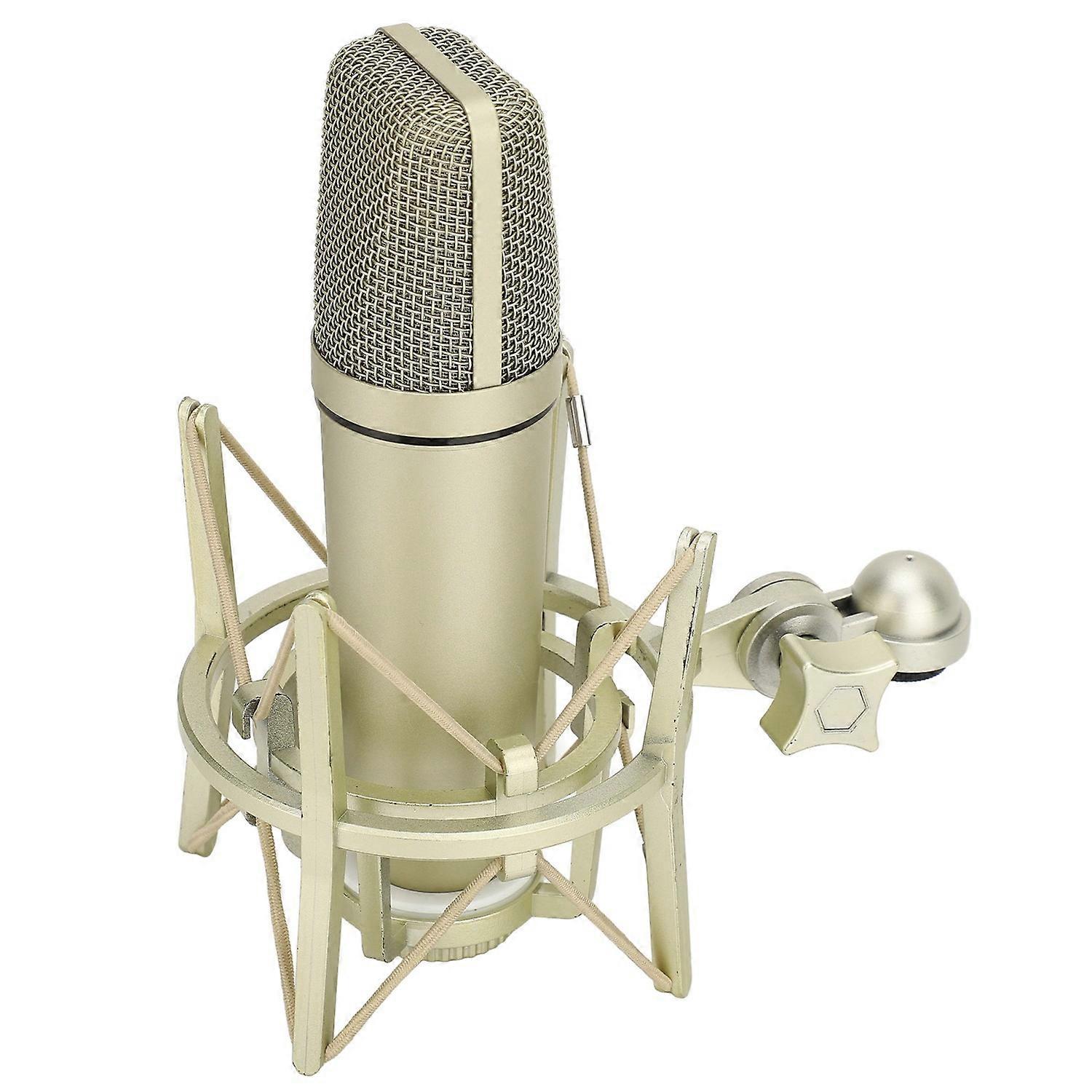 Studio Condenser Microphone Metal Wired Cardioid Condenser Microphone for Vocal Recording Podcasting