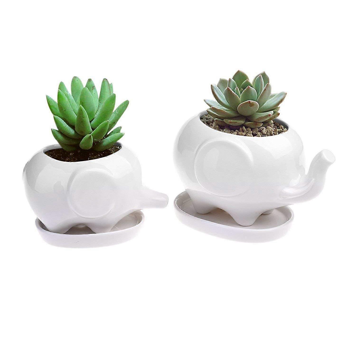 Elephant Window Box Set of 2 Cute Ceramic Succulent Planters, Modern Flower Pots
