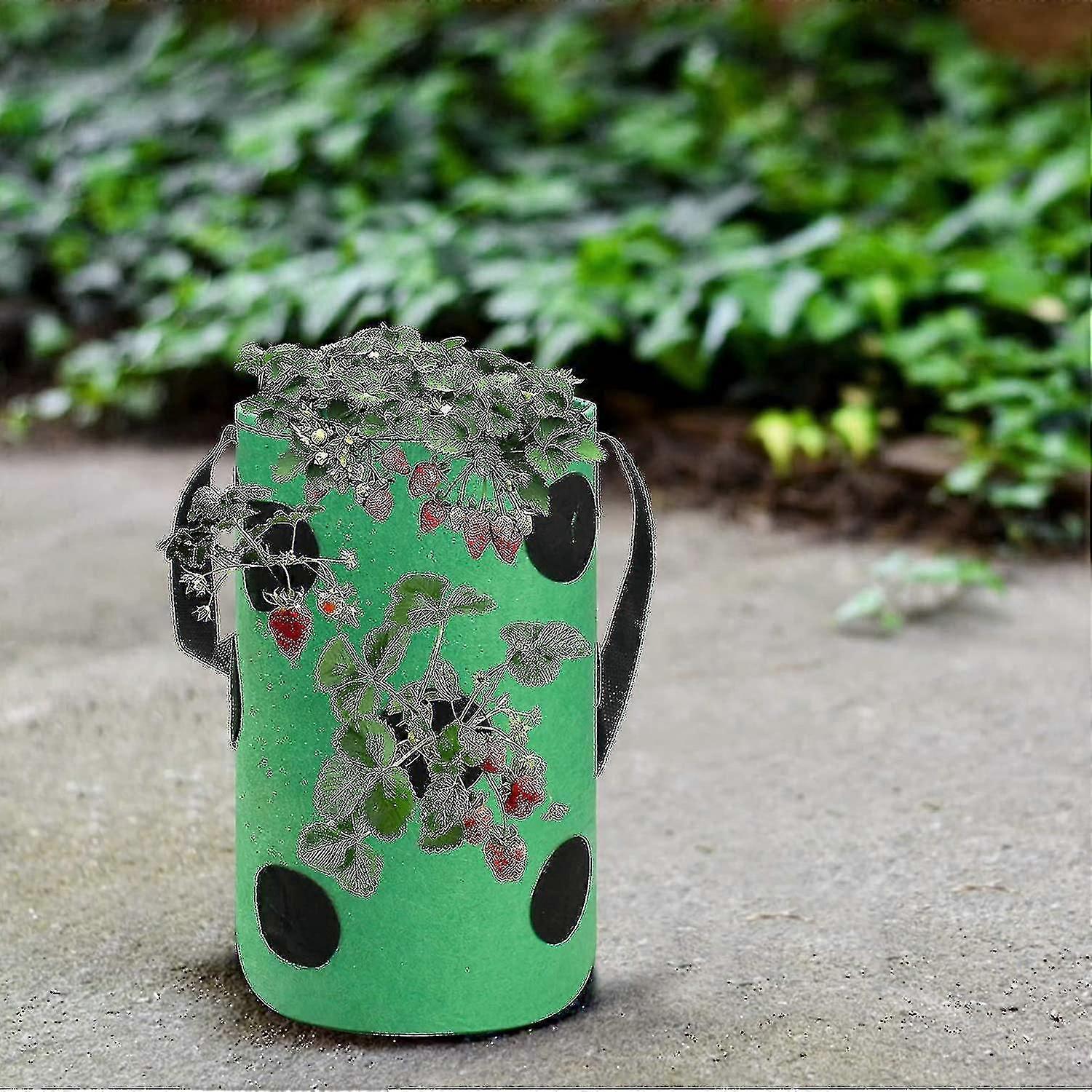 2pcs Strawberry Grow Bags 3 Gallon, Grow Pouches Plant Growing Hanger Bag