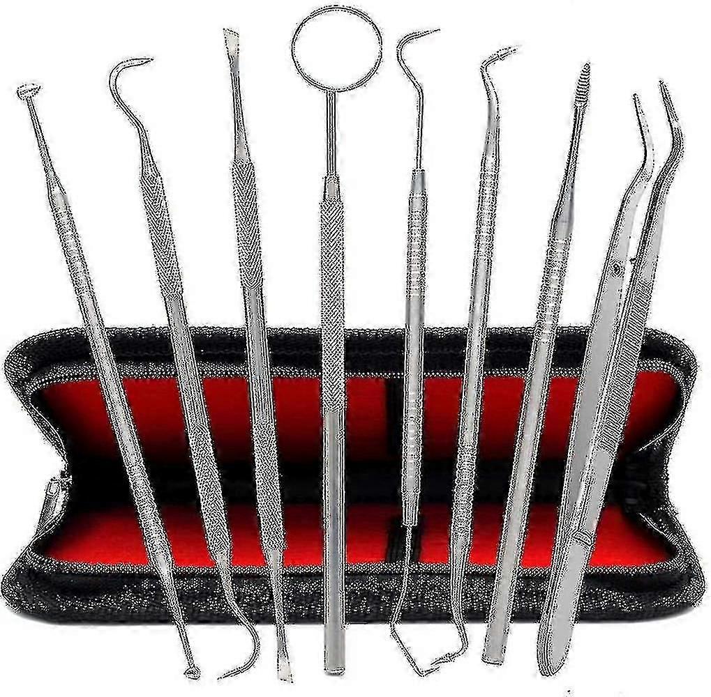 Ensemble de 8 instruments dentaires en acier inoxydable