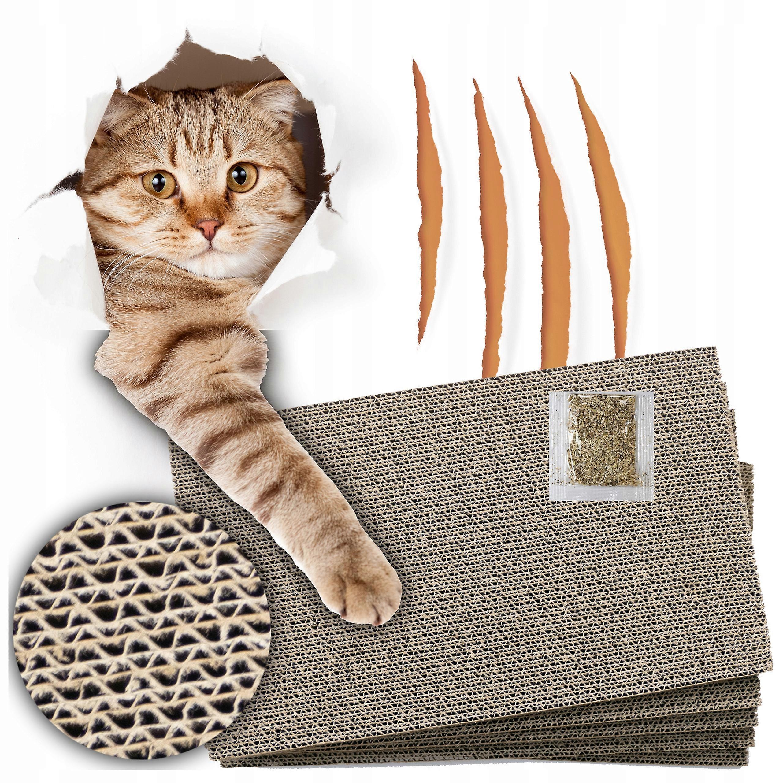 Pablo Toys Scratching Mats Up To 60 Cm