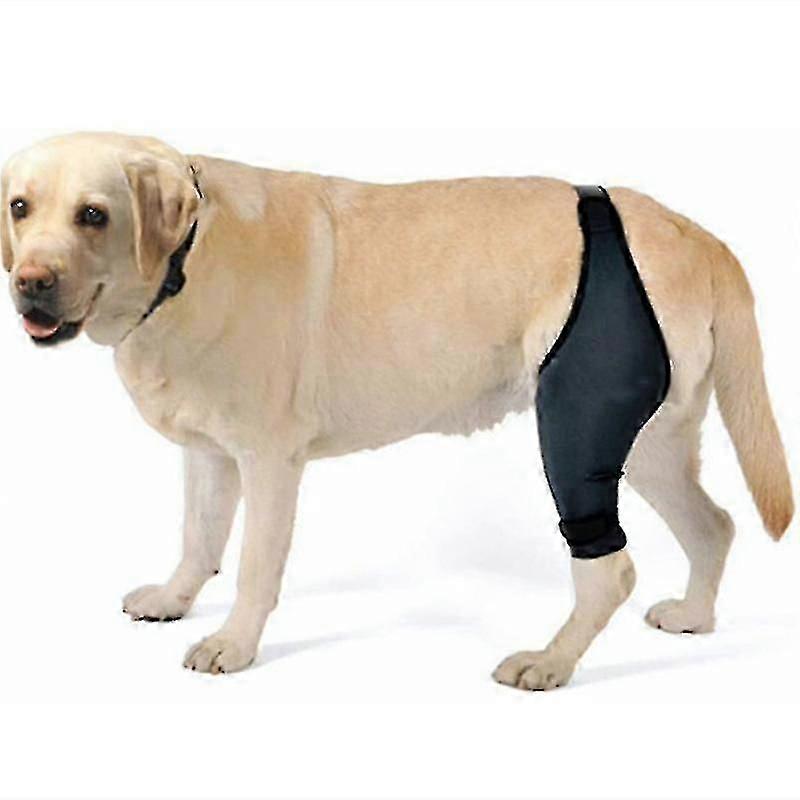 Dog Knee Brace For Acl, Knee Cap Dislocation, Arthritis - Keeps The Joint Warm - Extra Support - Reduces Pain