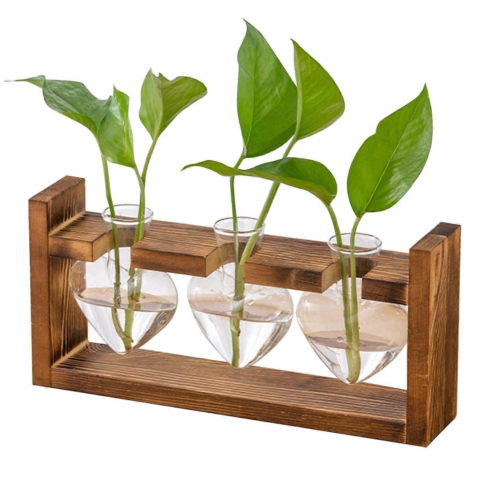 Glass Plant Propagation Station - Vintage Small Flower Vase with Wooden Frame for Hydroponics and Table Decoration