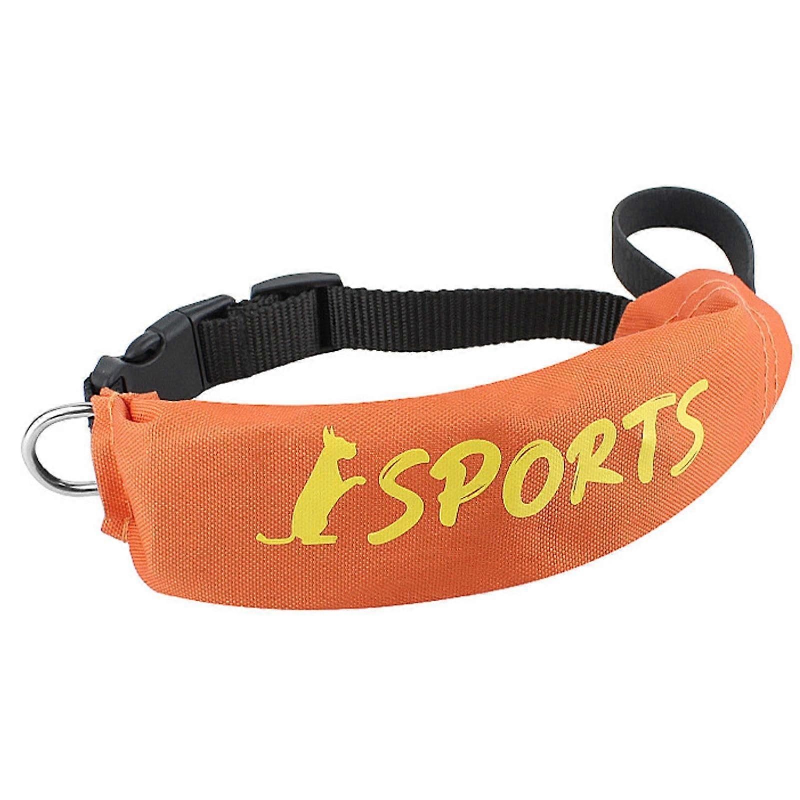 Adjustable Dog Leash for Puppies, Heavy Duty Leash With Collar