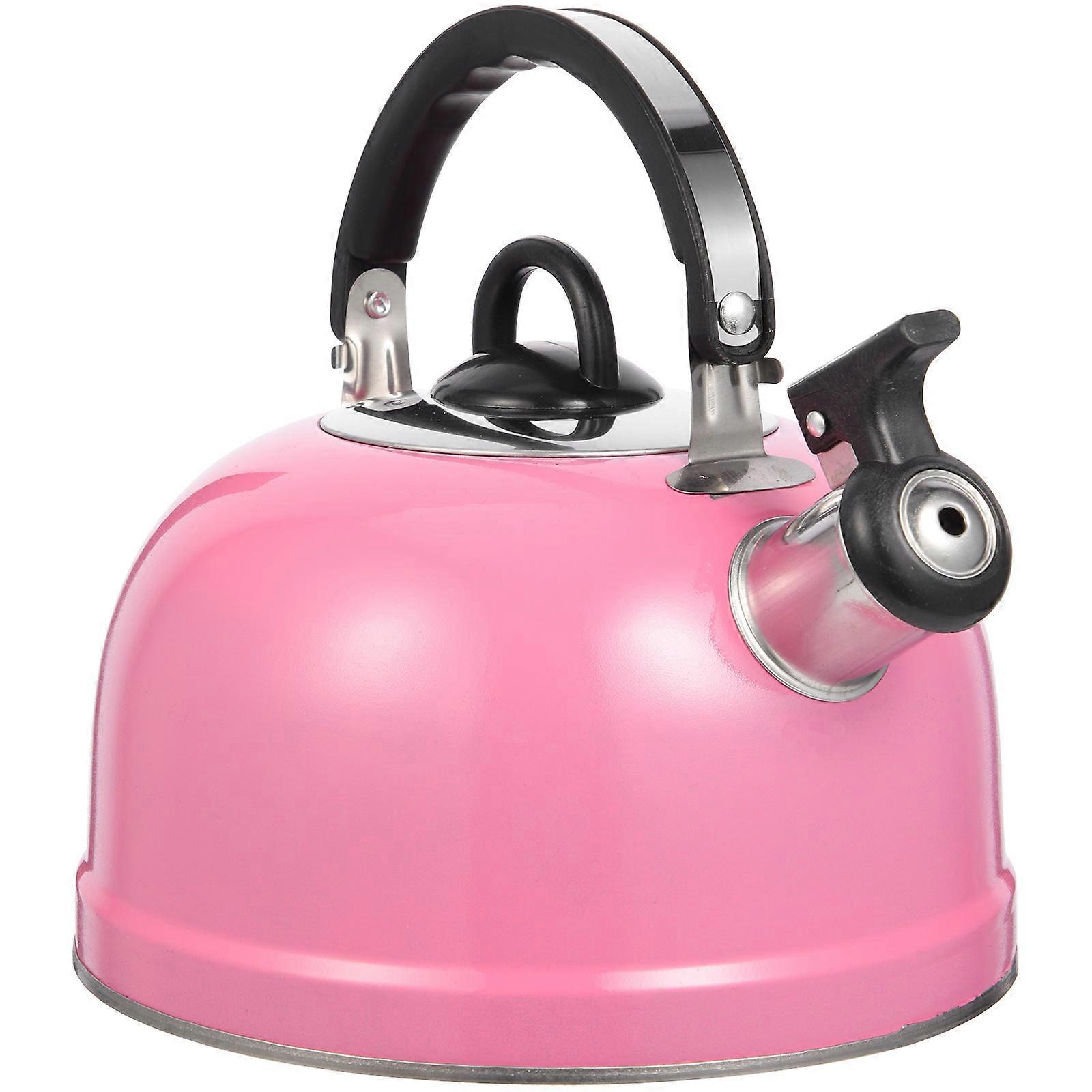 Practical Kettle with Handle for Boiling Water Hot Water Pot Convenient Pot 1 Set