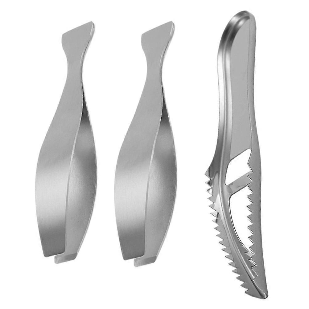 Kitchen Tweezer For Fish Cleaning Tools Set Featuring Scales Removal Functionality In Silver 1 Set