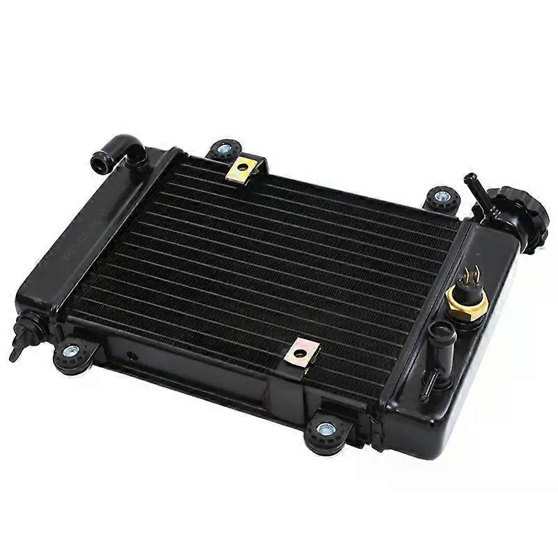 Vandkøletank radiator til Bashan 200-7 250cc 200cc elektrisk ATV UTV Go Kart Buggy Dele