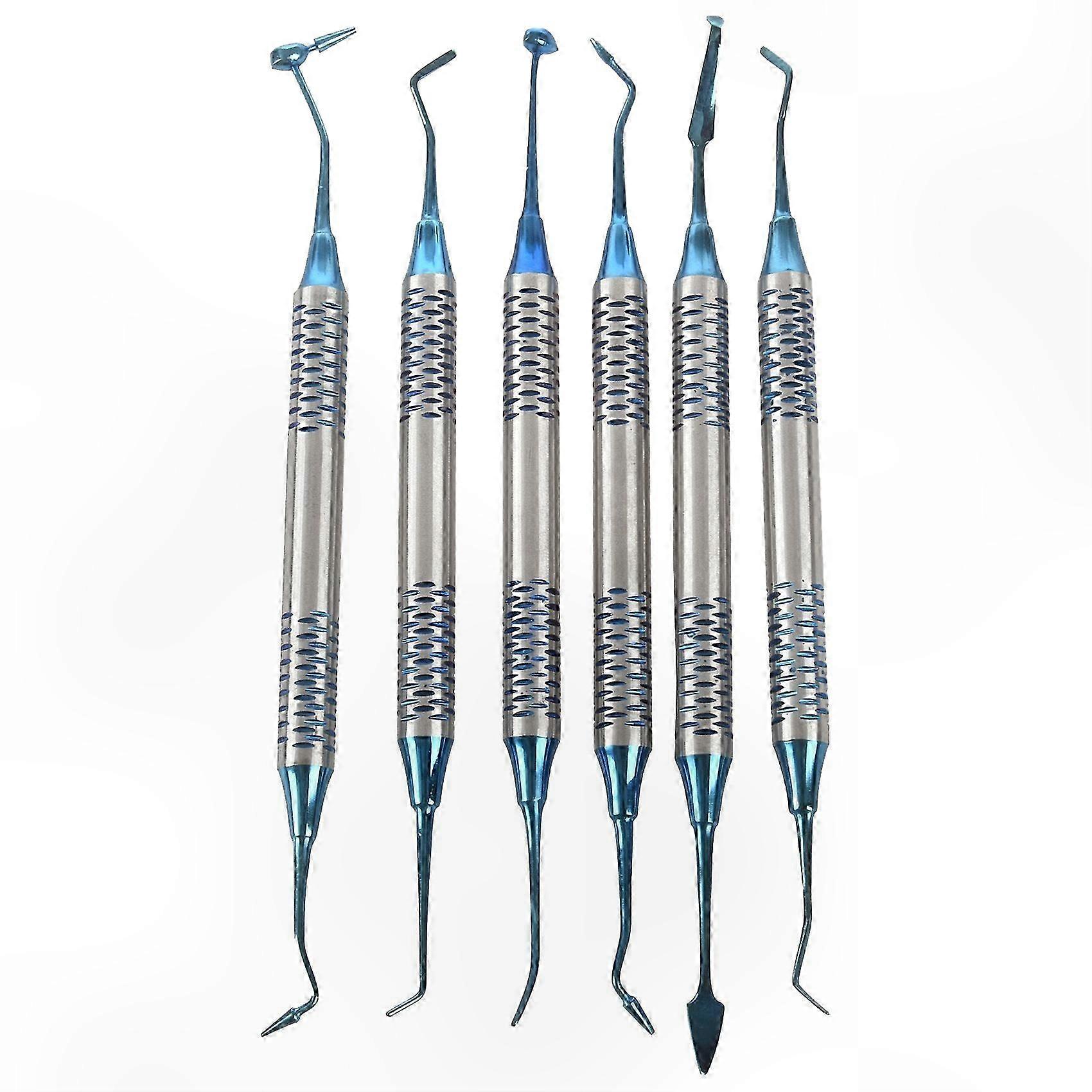 6Pcs Dental Composite Resin Filling Spatula Titanium Plated Head Resin Filler Set Thick Handle Restoration Set Dental Instrument(Blue)