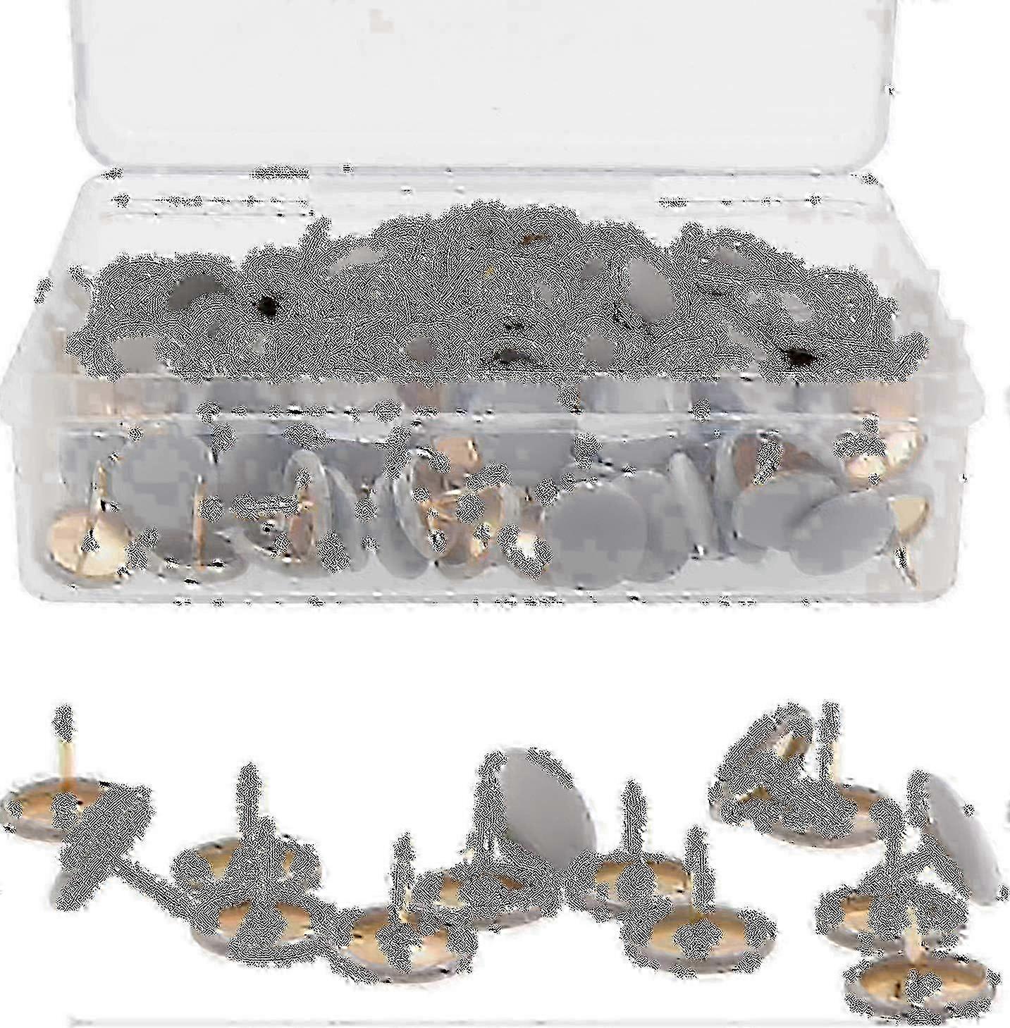 Round Head Thumbtacks Gray Plastic Office Tacks