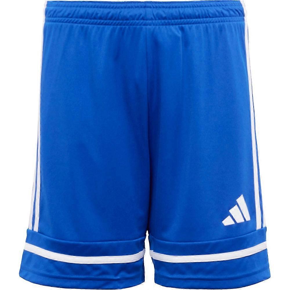 Pantalone Adidas Squadra 25 JN5455