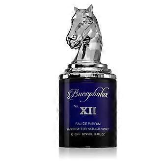 Eau de Parfum - ARMAF - Bucephalus XII - 100 ML - Men - Spicy Amber
