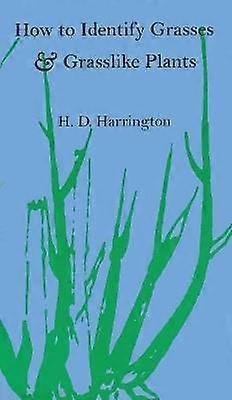 How to Identify Grasses and Grasslike Plants
