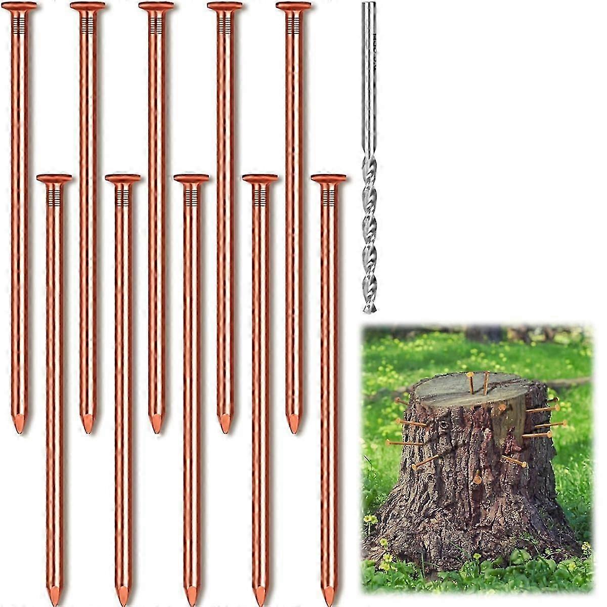 tree root killing nails pure copper 10pcs bulk