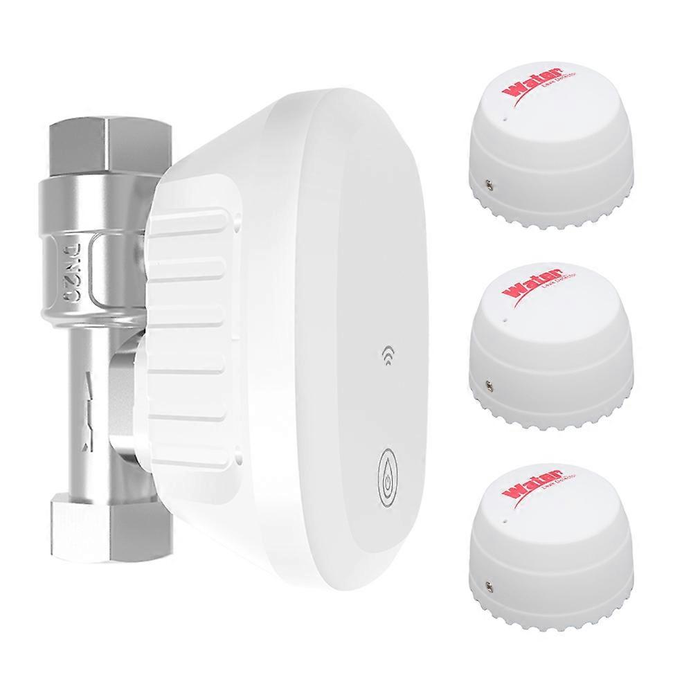 Tuya WiFi Water Valve Consumption Flow Rate Meter Smart Life Water Leakage Detection Alarm for Alexa Google US PLUG