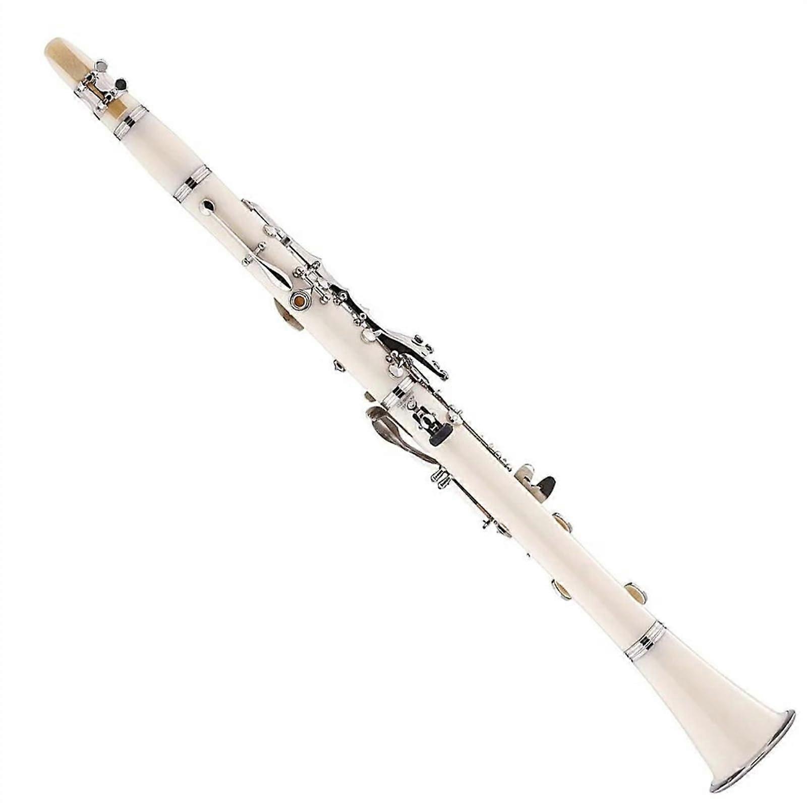 17 Key ABS Bb Clarinet with Nickel Plated Keys, Clear Balanced Tone, Protective Case for Students