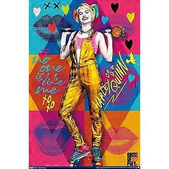 BIRDS OF PREY jigsaw puzzle game for adults and kids G0514