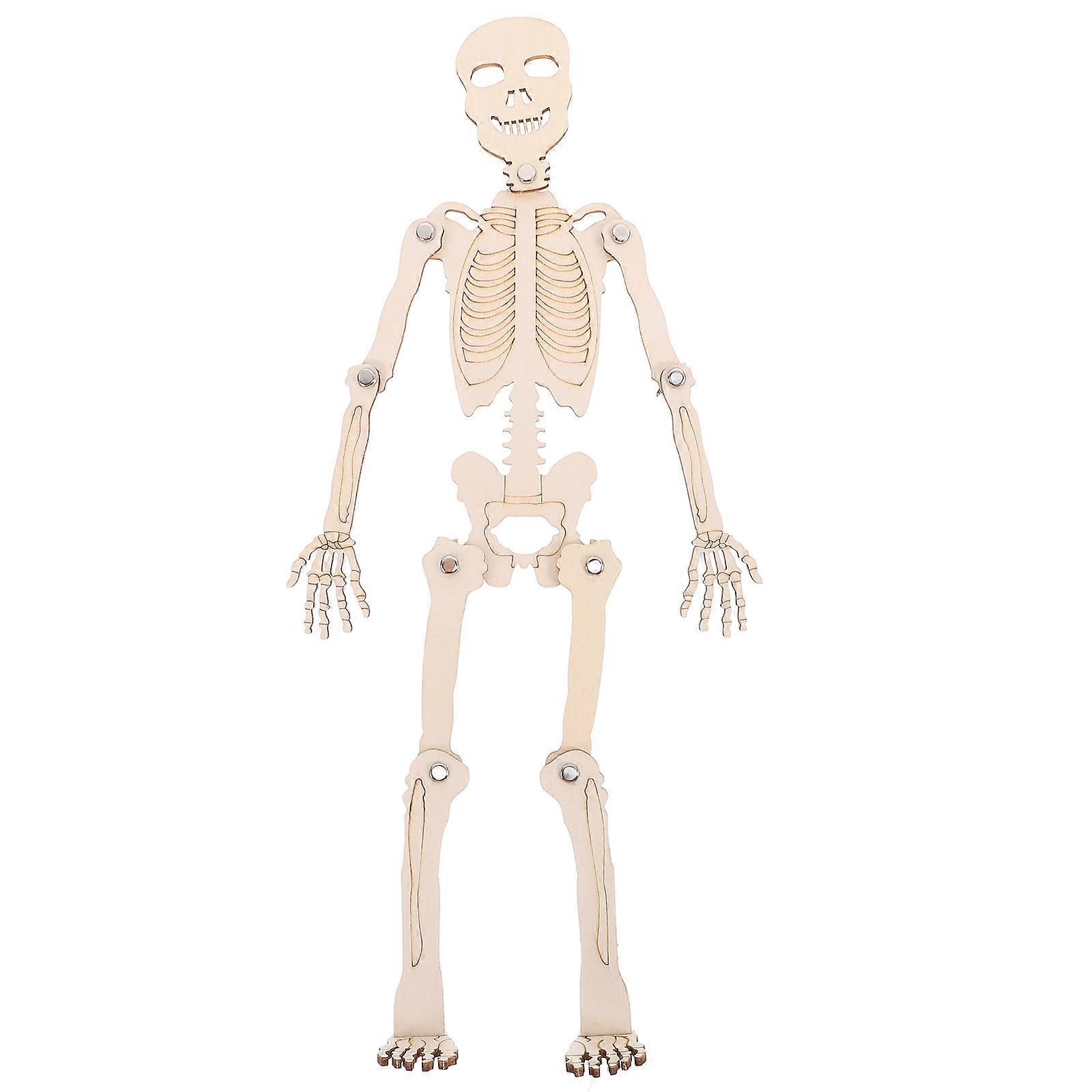 Wood Skeleton Model Human Skeleton for Assembly 1Set Educational Cognitive Tool