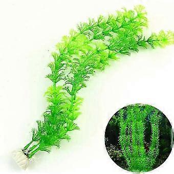 Groene aquariumplanten, onderhoudsvrij