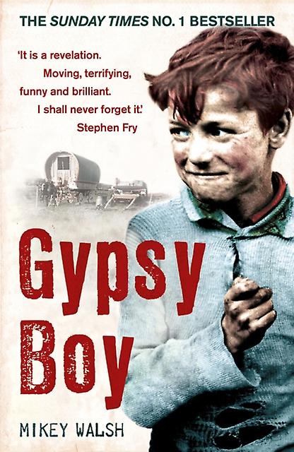 Gypsy Boy by Mikey Walsh Paperback Book