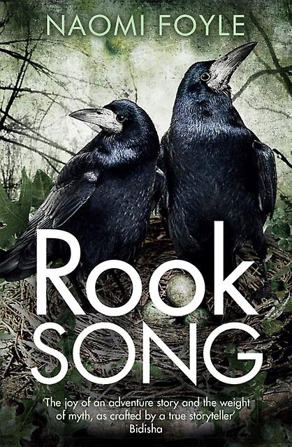 Rook Song by Naomi Foyle Paperback