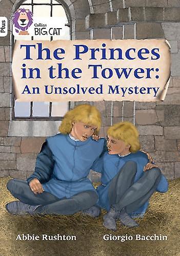 The Princes In The Tower An Unsolved Mystery by Abbie Rushton Paperback