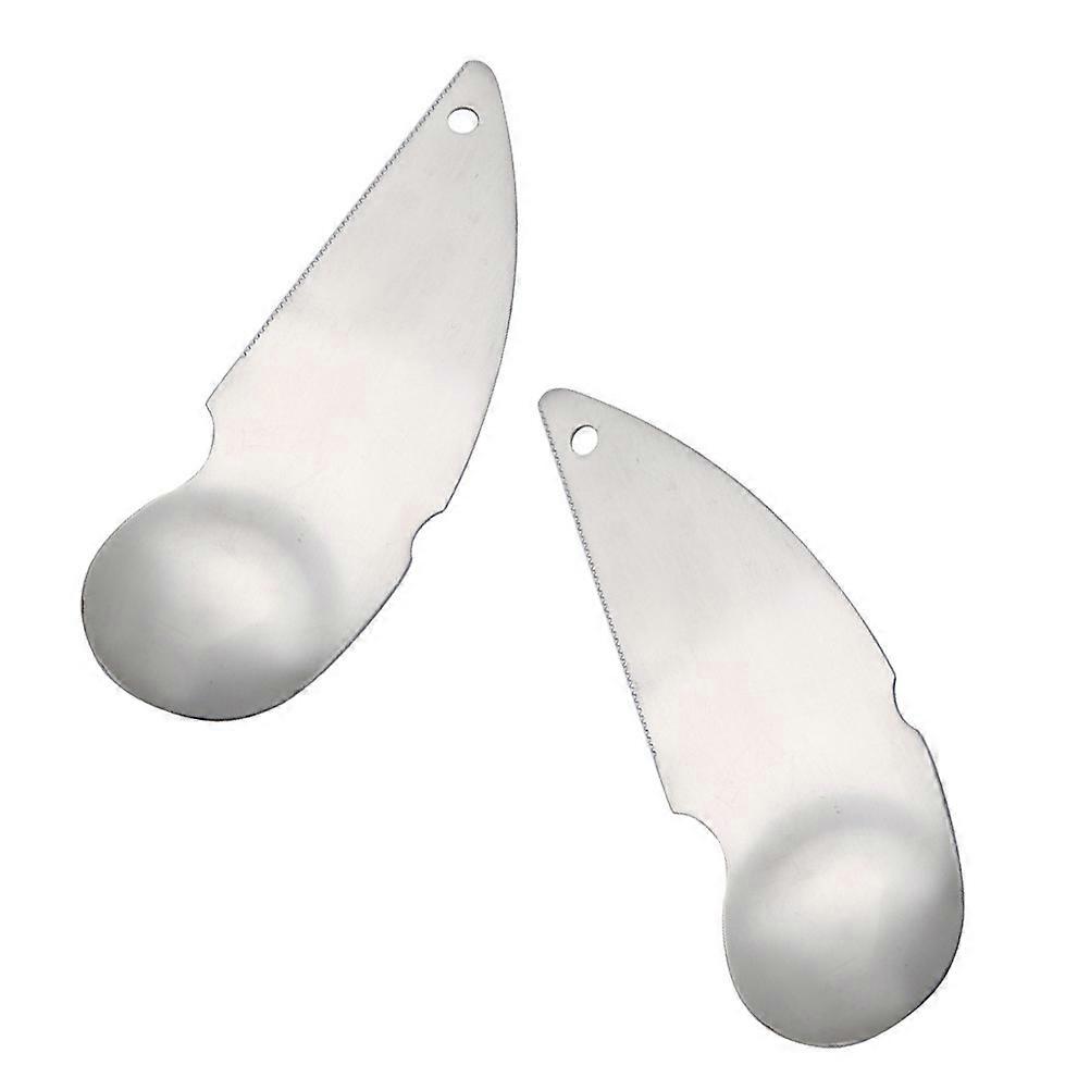2 Pcs Stainless Steel Kiwi Spoon and Avocado Practical Tool
