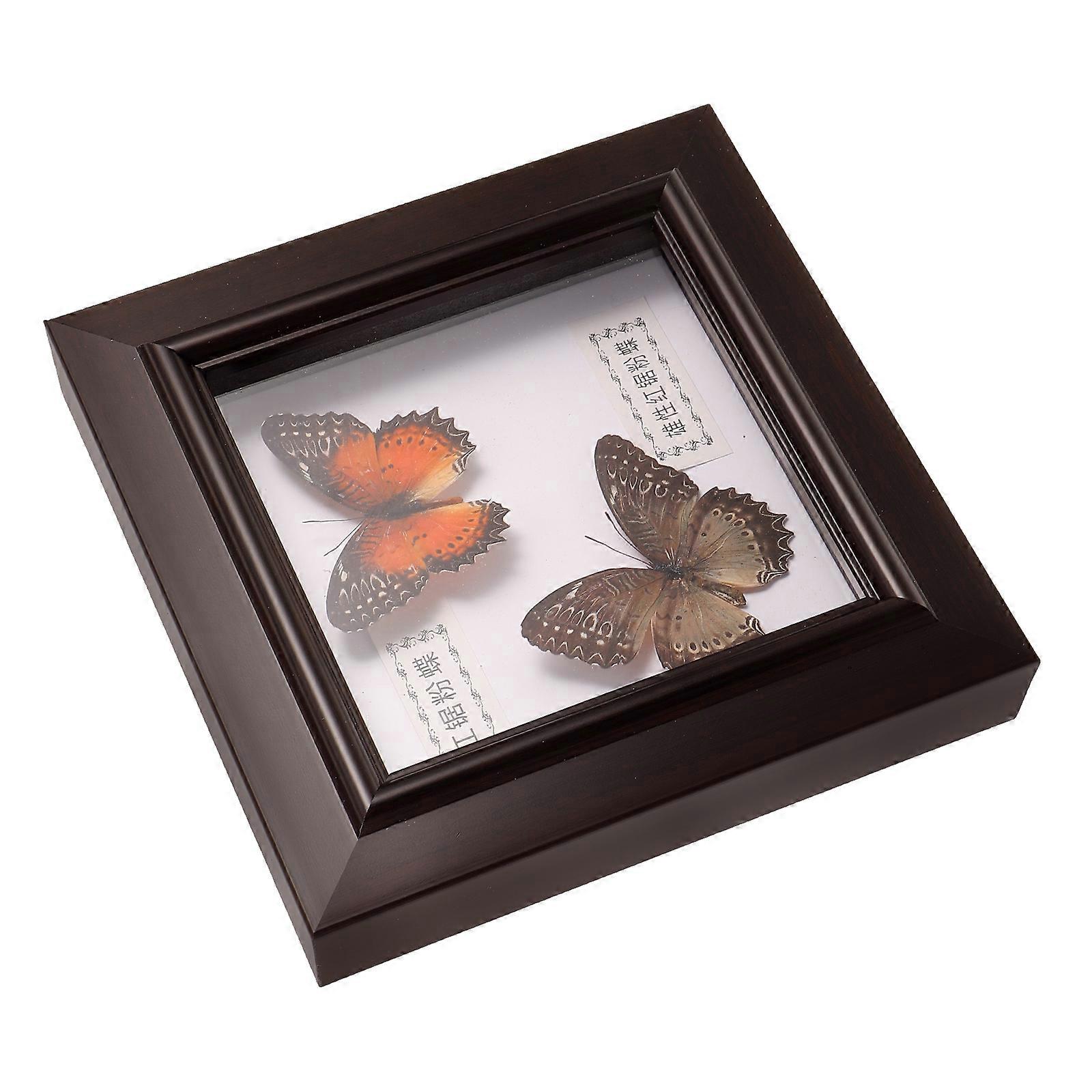 Butterfly Specimen Frame for Decoration Use with Lifelike Design Multi Purpose Decor 8.5x11 inches