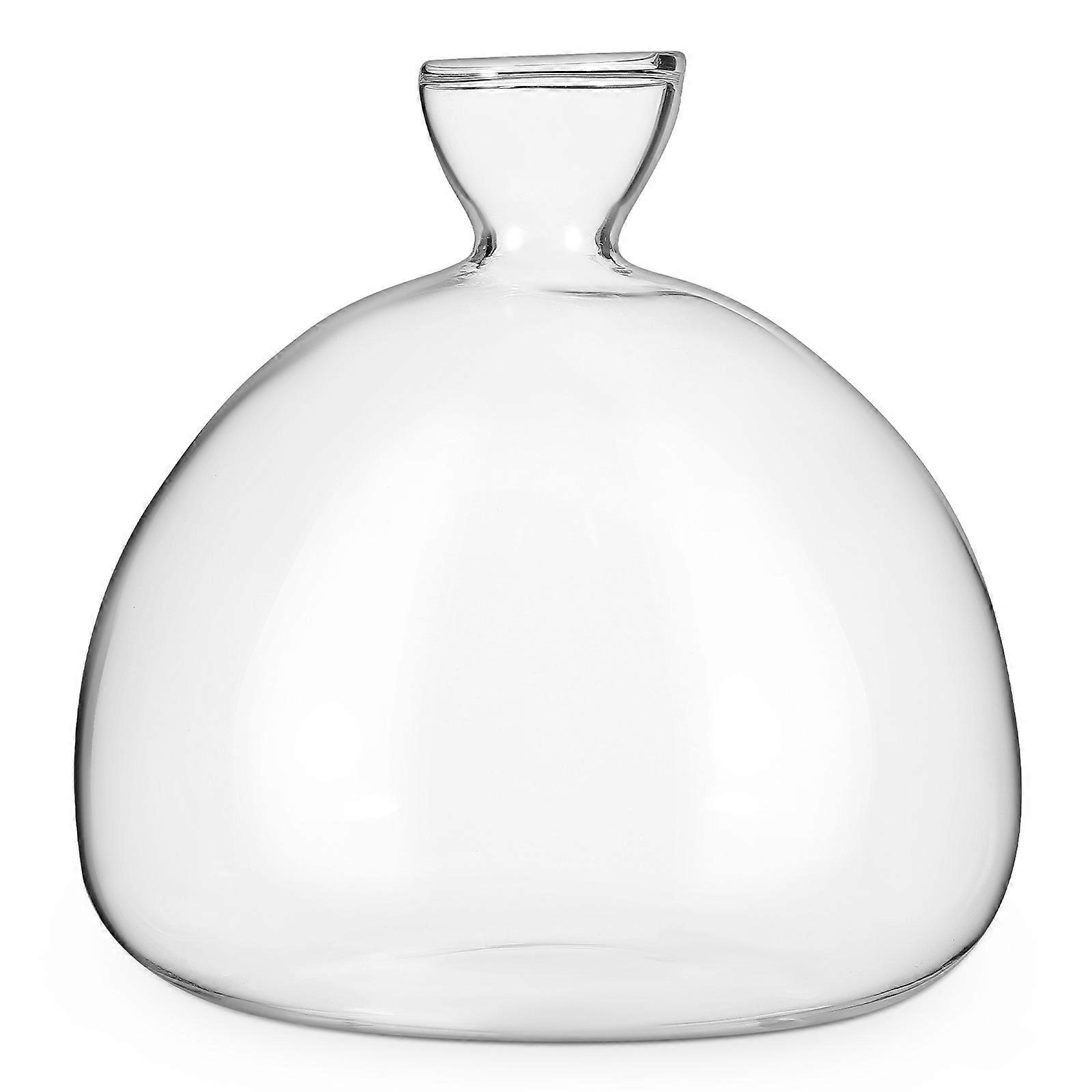 Glass Plant Holder for Flower Arranging Clear Transparent Vase