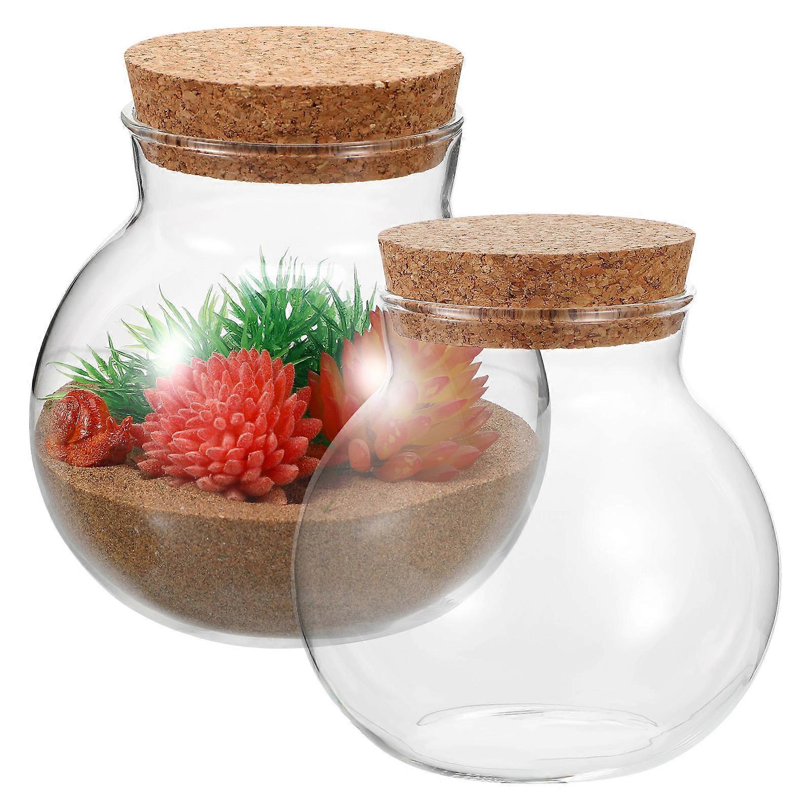 DIY Empty Bottle Glass Terrarium for Storage Use 10Pcs Spherical Glass Jars