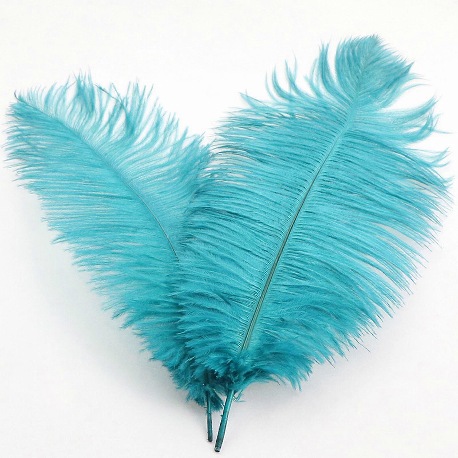 Kpamnxio Feather Clearance! Ostrich Feather 30-35Cm Colorful Feather Decoration 40# Emerald Green 13.65In, a Good Value for Money Choice This Season